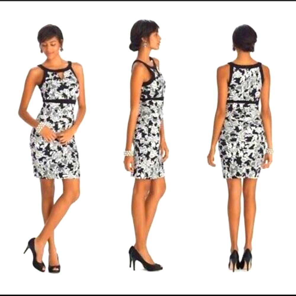 White House Black Market Instantly Slimming Lace Print Sleeveless Dress